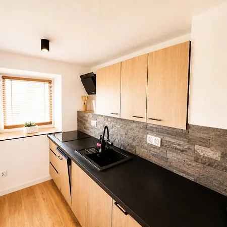 Lägenhet Do Brzegu Lepiej Loft Z Klimatyzacja I Tarasem Blisko Jeziora Parking Iii Olsztynek